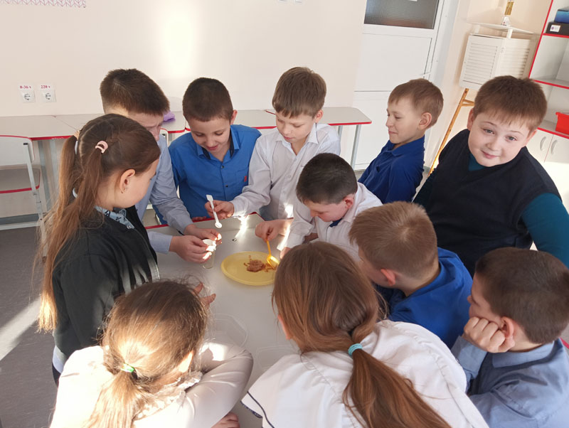 Изучаем картофель.