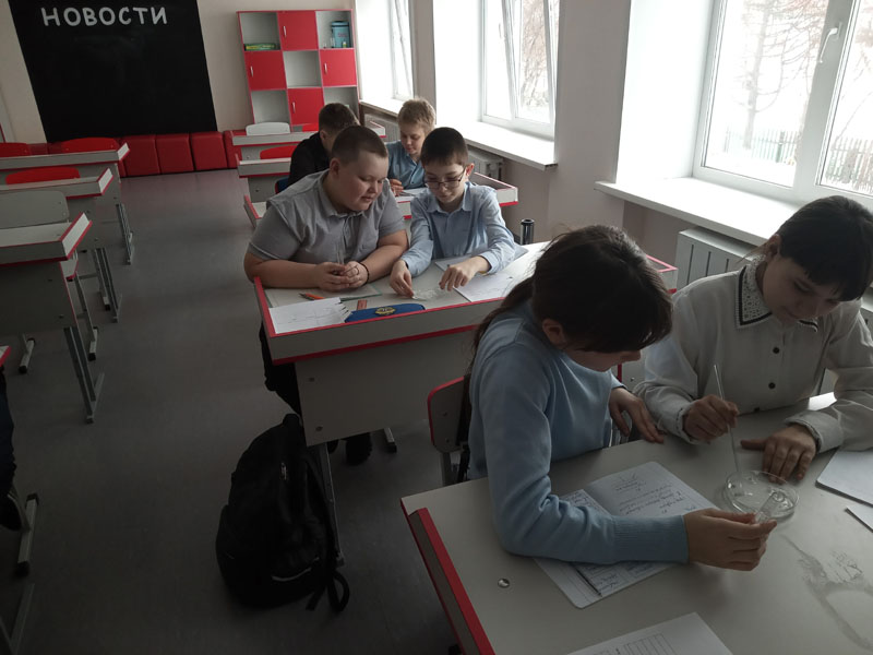 Практическая биология в 5 классах «Определение крахмала в продуктах питания».